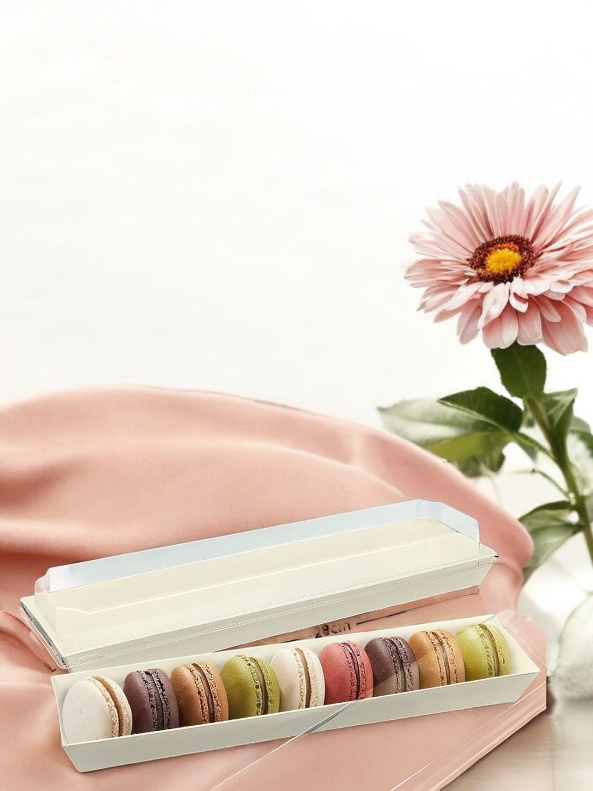 10PCS - BOX MIKA - cake case mika packaging kue salad burger hotdog - Image 7